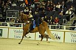 10-24-08-WIHS-627-DeRosaPhoto.jpg