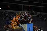 10-24-08-WIHS-110-DeRosaPhoto.jpg