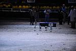 10-24-08-WIHS-1059-DeRosaPhoto.jpg