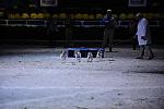 10-24-08-WIHS-1070-DeRosaPhoto.jpg