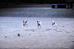 10-24-08-WIHS-1075-DeRosaPhoto.jpg