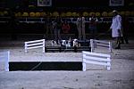 10-24-08-WIHS-1081-DeRosaPhoto.jpg