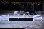 10-24-08-WIHS-1084-DeRosaPhoto.jpg