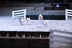 10-24-08-WIHS-1090-DeRosaPhoto.jpg