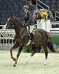 WIHS-10-20-09-DSC_0043-Andiamo-DDeRosaPhoto.jpg