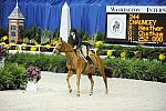 WIHS-10-20-09-DSC_1083-Action-DDeRosaPhoto.jpg