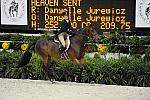 WIHS-10-20-09-DSC_1126-HeavenSent-DanyelleJurewicz-DDeRosaPhoto.jpg