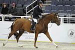 WIHS-10-21-09-DSC_1345-Quintin-StephenHeincke-DDeRosaPhoto.jpg