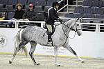 WIHS-10-21-09-DSC_1355-Venlo-HavensSchatt-DDeRosaPhoto.jpg