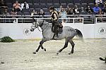 WIHS-10-22-10-Gamblers-DSC_7093-Calmar3-MarilynLittle-Meredith-DDeRosaPhoto.jpg