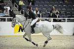 WIHS-10-23-09-DER_8673-ChironS-PaigeJohnson-A-OJprs-DDeRosaPhoto.jpg