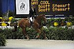 WIHS-10-24-10-Cl250HtrDrby-DER_8366-WayCool-ScottStewart-DDeRosaPhoto.jpg