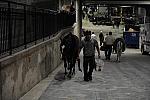 WIHS-10-24-09-DSC_8997-AroundGroundsInside-DDeRosaPhoto.jpg