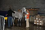 WIHS-10-24-09-DSC_9002-AroundGroundsInside-DDeRosaPhoto.jpg