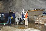 WIHS-10-24-10-DSC_9001-AroundGrounds-Indoors-DDeRosaPhoto.jpg