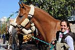 WIHS-10-19-09-362-AroundGroundsOutside-DDeRosaPhoto.jpg