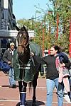 WIHS-10-19-09-DSC_423-AroundGrounds-Outdoors-DDeRosaPhoto.jpg