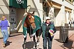 WIHS-10-21-09-DSC_2125-AroundGroundsOutside-DDeRosaPhoto.jpg