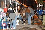 WIHS-10-22-09-DSC_017-AroundGrounds-Outdoors-DDeRosaPhoto.jpg