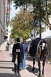 WIHS-10-25-09-DSC_2574-AroundGroundsOutside-DDeRosaPhoto.jpg