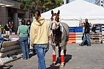 WIHS-10-25-09-DSC_2588-AroundGrounds-Outdoors-DDeRosaPhoto.jpg