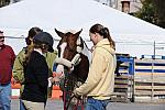 WIHS-10-25-09-DSC_2592-AroundGrounds-Outdoors-DDeRosaPhoto.jpg