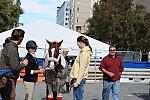 WIHS-10-25-09-DSC_2593-AroundGrounds-Outdoors-DDeRosaPhoto.jpg