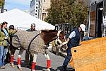 WIHS-10-25-09-DSC_2596-AroundGrounds-Outdoors-DDeRosaPhoto.jpg