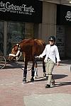 WIHS-10-25-09-DSC_2608-AroundGroundsOutside-DDeRosaPhoto.jpg