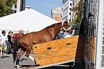 WIHS-10-25-09-DSC_2619-AroundGrounds-Outdoors-DDeRosaPhoto.jpg