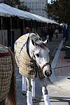 WIHS-10-25-09-DSC_2631-AroundGrounds-Outdoors-DDeRosaPhoto.jpg