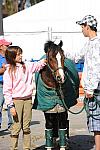 WIHS-10-25-09-DSC_2644-AroundGrounds-Outdoors-DDeRosaPhoto.jpg