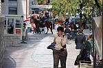 WIHS-10-25-09-DSC_2687-AroundGroundsOutside-DDeRosaPhoto.jpg