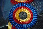WIHS-10-23-09-DSC_0012-Awards-DDeRosaPhoto.jpg