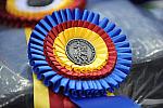 WIHS-10-23-09-DSC_7575-Awards-DDeRosaPhoto.jpg