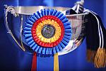 WIHS-10-24-09-DER_8175-Awards-DDeRosaPhoto.jpg