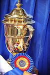 WIHS-10-24-09-DER_8176-Awards-DDeRosaPhoto.jpg