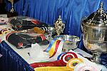 WIHS-10-24-09-DSC_9021-Awards-DDeRosaPhoto.jpg
