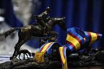 WIHS-10-25-09-DSC_1787-Awards-DDeRosaPhoto.jpg