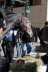 WIHS-10-21-09-DSC_1948-BreakfastwithParkPolice-DDeRosaPhoto.jpg
