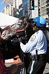 WIHS-10-21-09-DSC_1982-BreakfastwithParkPolice-DDeRosaPhoto.jpg