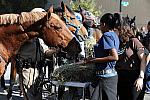 WIHS-10-21-09-DSC_2015-BreakfastwithParkPolice-DDeRosaPhoto.jpg