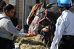 WIHS-10-21-09-DSC_2028-BreakfastwithParkPolice-DDeRosaPhoto.jpg