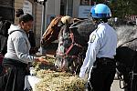 WIHS-10-21-09-DSC_2029-BreakfastwithParkPolice-DDeRosaPhoto.jpg