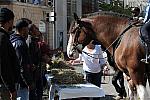 WIHS-10-21-09-DSC_2030-BreakfastwithParkPolice-DDeRosaPhoto.jpg