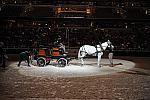 WIHS-10-24-09-DER_8680-Caisson-DDeRosaPhoto.jpg