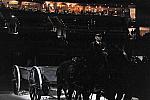 WIHS-10-24-09-DSC_0438-Caisson-DDeRosaPhoto.jpg