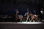 WIHS-10-25-09-DSC_2913-ColorGuard-DDeRosaPhoto.jpg