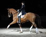 Dressage