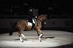 WIHS-10-22-09-DSC_6731-AshleyHolzer-PopArt-Dressage-DDeRosaPhoto.jpg